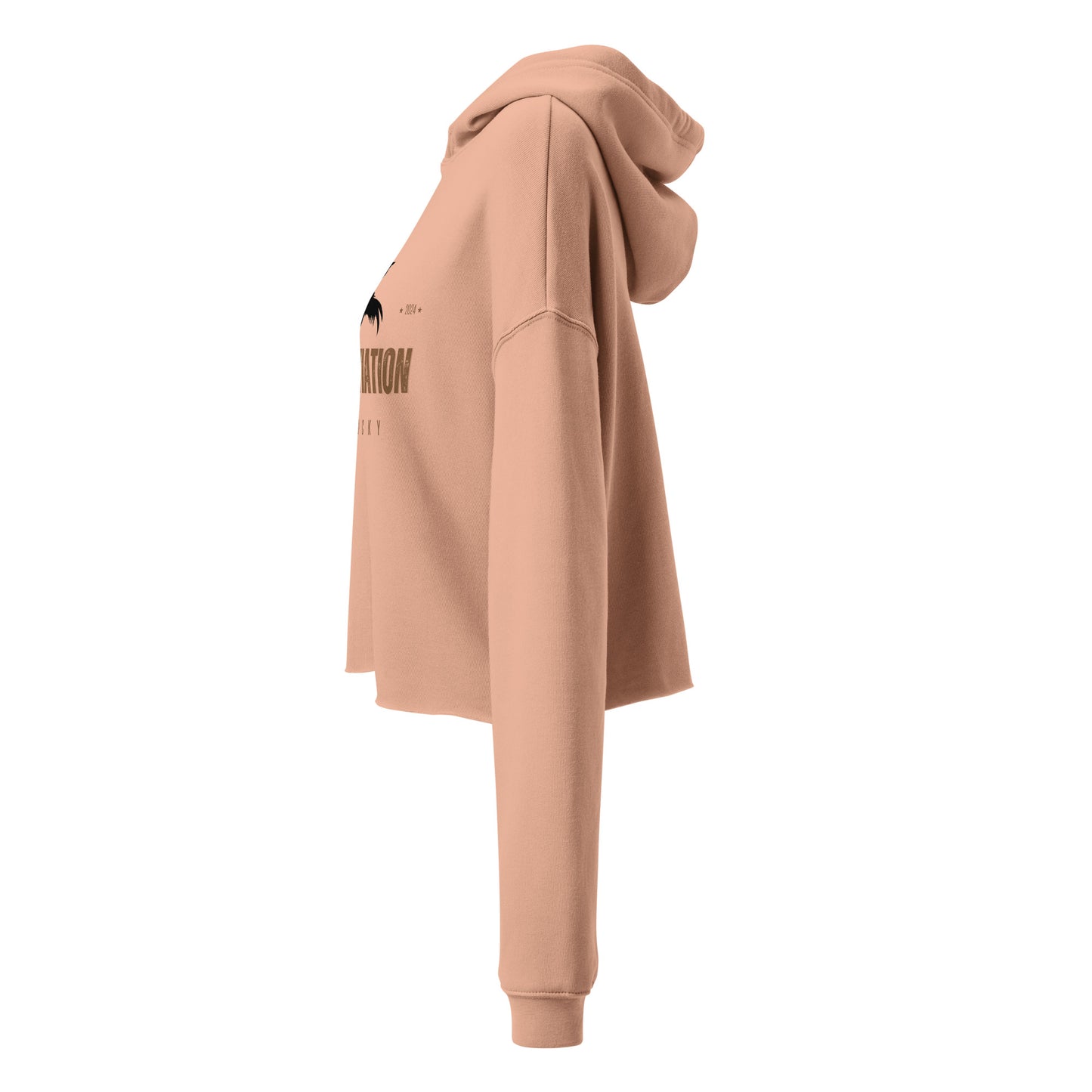 Cocky Aviation Crop Hoodie