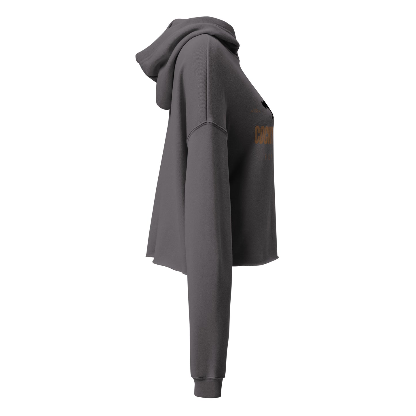 Cocky Aviation Crop Hoodie