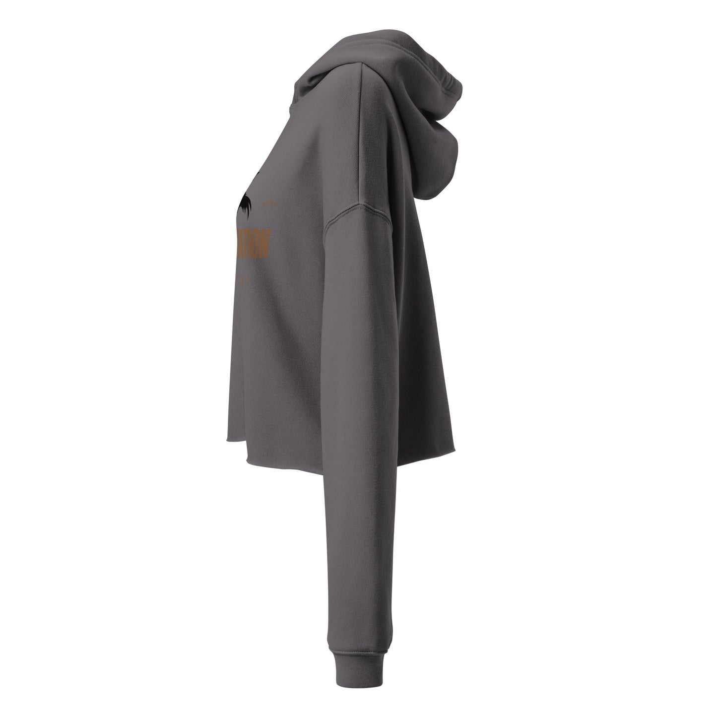 Cocky Aviation Crop Hoodie